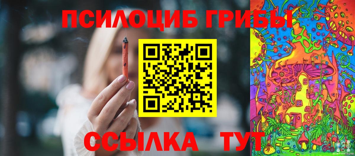 Псилоцибиновые грибы Psilocybe Выборг