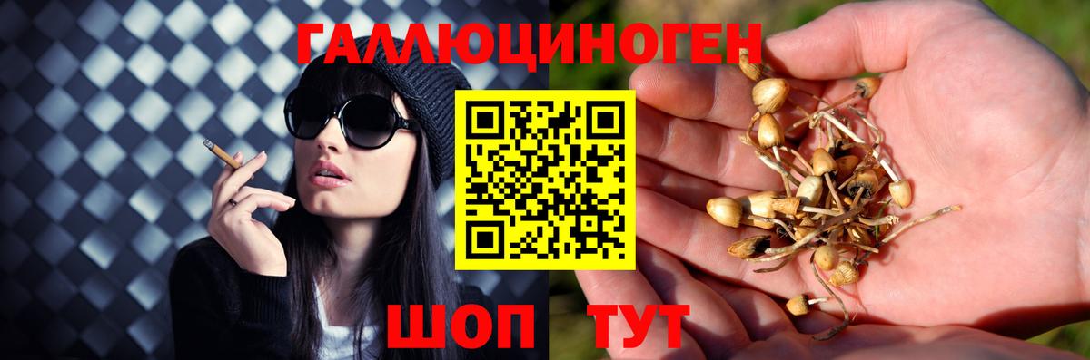 наркошоп  Вход с VPN  Галлюциногенные грибы прущие грибы  Выборг  Псилоцибиновые грибы мицелий 