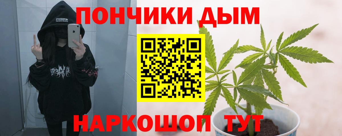 Шишки марихуана конопля Выборг